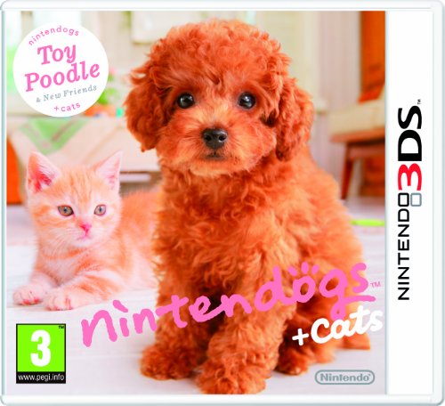 Nintendo 3DS